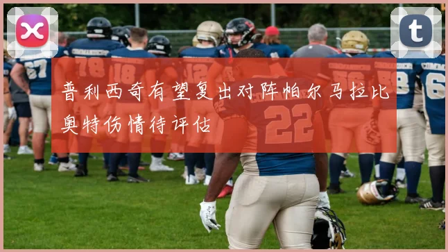 普利西奇有望复出对阵帕尔马拉比奥特伤情待评估